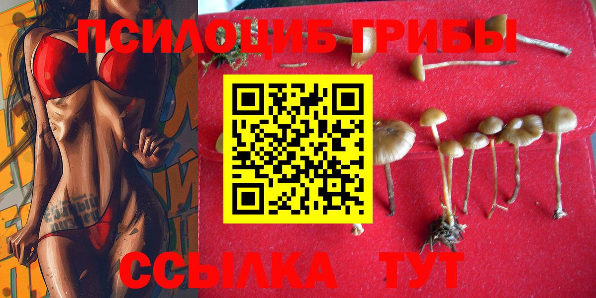 Псилоцибиновые грибы прущие грибы Соликамск