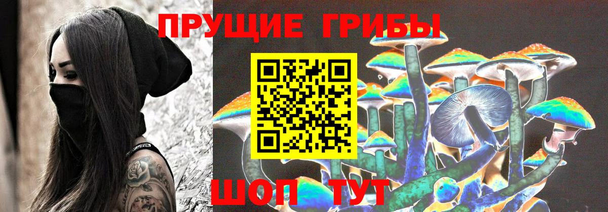 Соликамск  где купить наркоту  Псилоцибиновые грибы прущие грибы  Вход с VPN  Галлюциногенные грибы GOLDEN TEACHER 